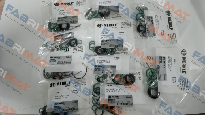 REPAIR KIT FOR BZ 500.32/20.03.201.030.NL38.V Merkle