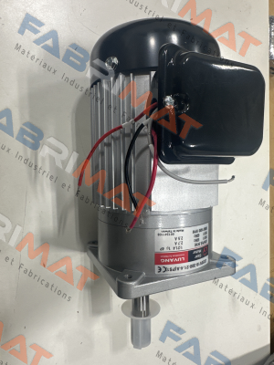 J220V18-300-21.4-A(G2) Luyang Gear Motor