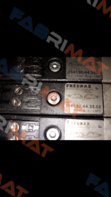 2541.62.44.35.02(24V/DC) Pneumax