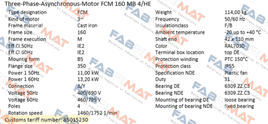 FCM 160 MB 4/HE  (IE2AC16MB400) ALTERNATIVES : PDM-4-B5-11-160M-G-Z1 or EDM-4-B5-11-160M-G-Z1 AC Motoren