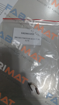 G42441253 oem Ametek Pittman
