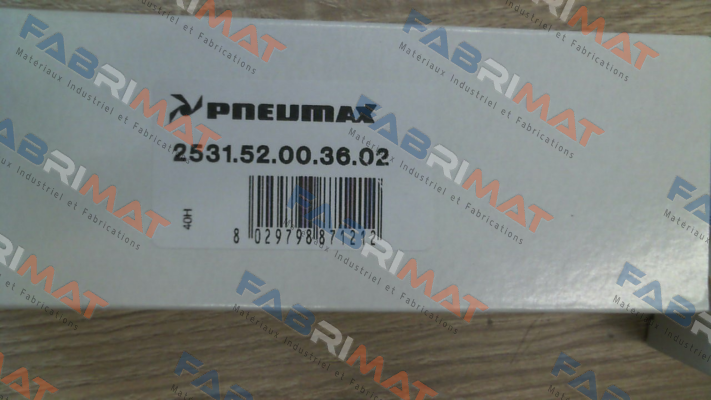 2531.52.00.36.02  (24V/DC) Pneumax