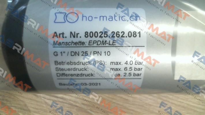 80025.262.081 Ho-Matic AG