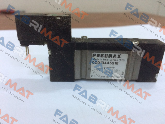 0001344531E  Pneumax