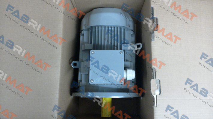 FCPA 132S-6 /PHE AC Motoren