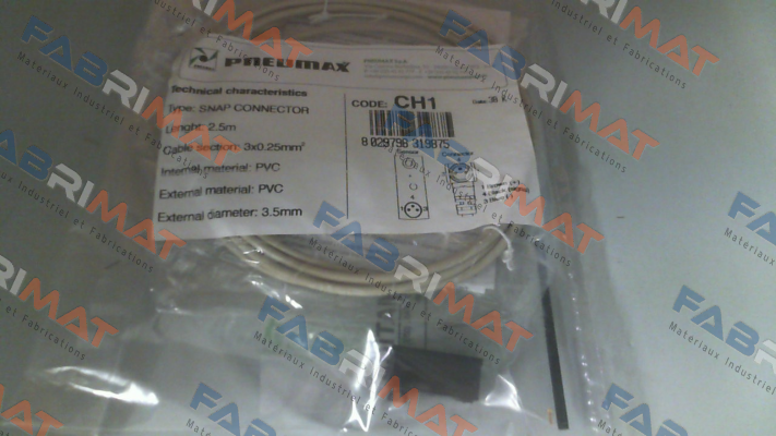 RS.UACH1/1L Pneumax