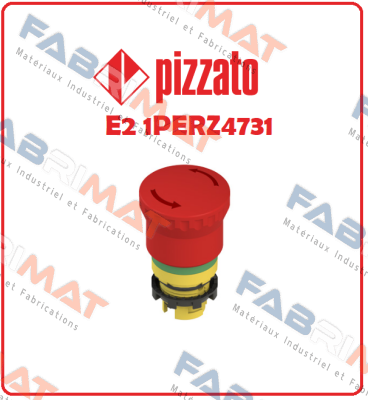 E2 1PERZ4731 Pizzato Elettrica