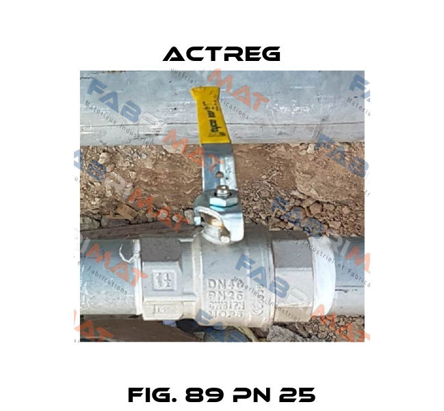 Fig. 89 PN 25 Actreg