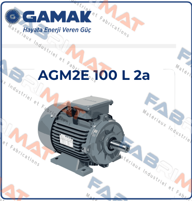 2007 177409 AGM 100 L 2 Gamak